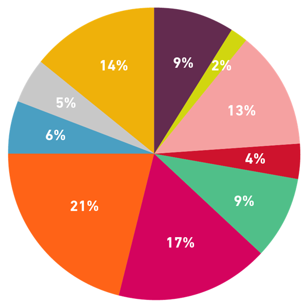 Pie chart showing 9% for academic estate, 2% for university owned accommodation, 13% for UK students commuting from home to campus, 4% for staff commuting, 9% for capital projects, 17% for estates, 21% for IT, 6% for laboratories, 5% for academic partners