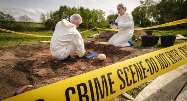 University students wearing forensic outerwear investigating an outdoors simulated crime scene of a mock body in a field