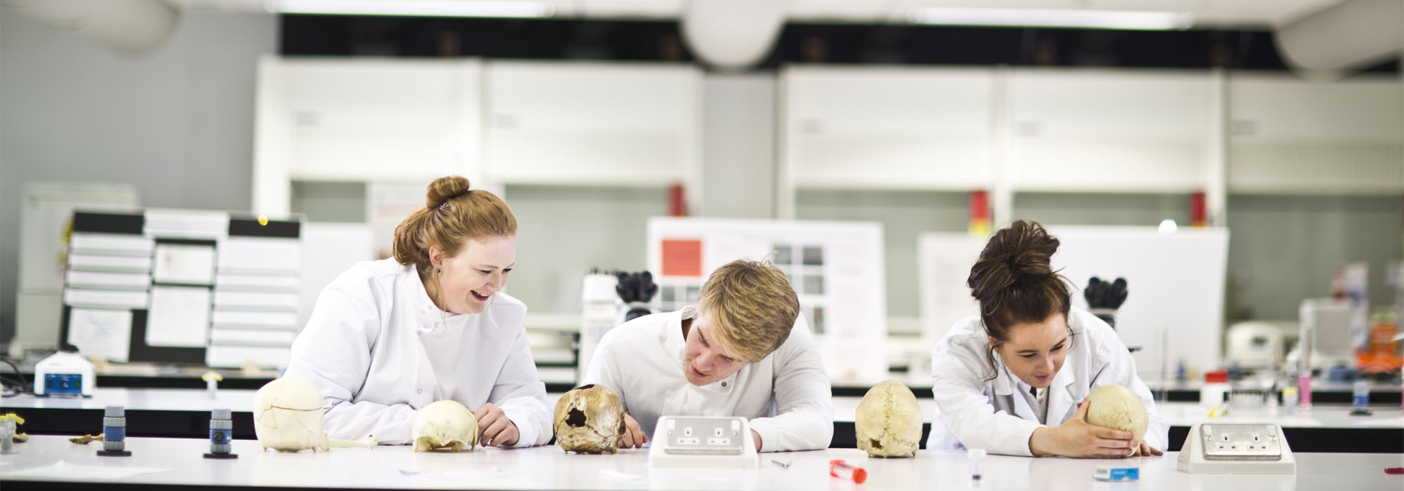 Three students wearing white lab coats sitting in a science lab investigating mock skulls