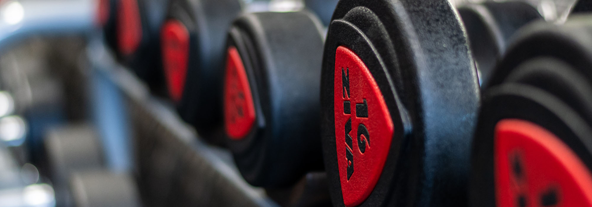 close up of black and red 16kg dumbbells