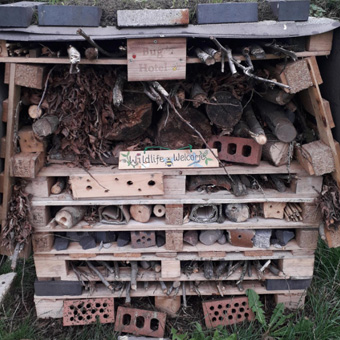 Our bug hotel, ready for visitors