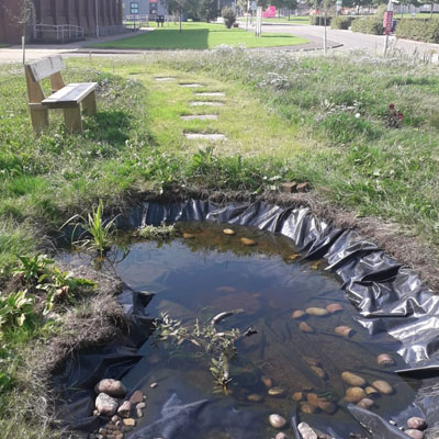 Our new finished pond
