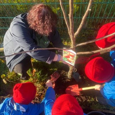 Young children wearing red winter hats are planting a tree with a nursery teacher
