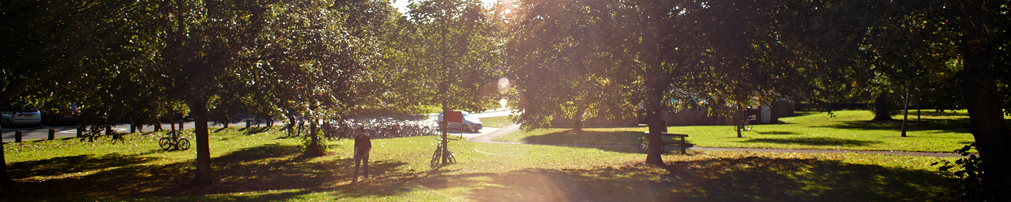 A sunny field and trees at Staffordshire University