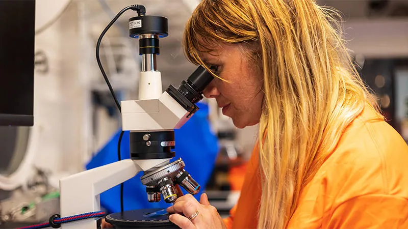 Analysing samples