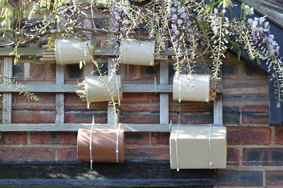 Four small wooden bee hotels hang on a brick wall beneath flowering greenery.