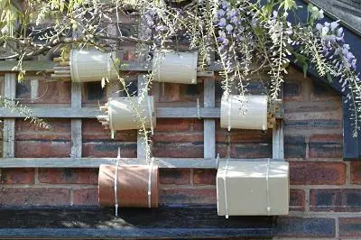 Four small wooden bee hotels hang on a brick wall beneath flowering greenery.
