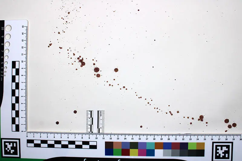 A line of dark red spots splattered on white paper framed by a ruler