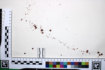 A line of dark red spots splattered on white paper framed by a ruler 