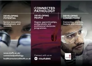 Three-panel Connected Pathology graphic about potential, people and connections.
