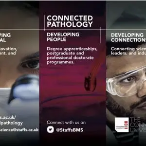 Three-panel Connected Pathology graphic about potential, people and connections.
