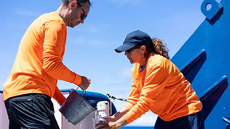 Collecting samples