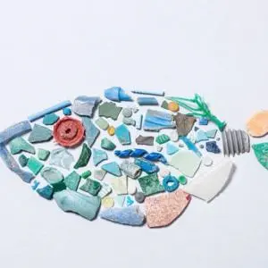 Make Plastic History