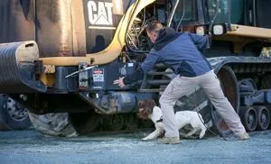 Man kneels beside a search dog near heavy tracked machinery at an outdoor worksite.