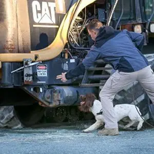 Man kneels beside a search dog near heavy tracked machinery at an outdoor worksite.