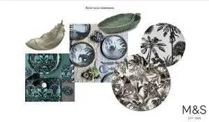 Molly's winning designs