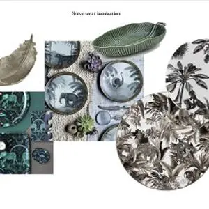 Molly's winning designs