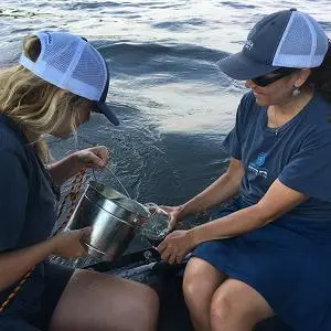 Prof Gwinnett and Rachael Z. Miller taking water samples from the Hudson River