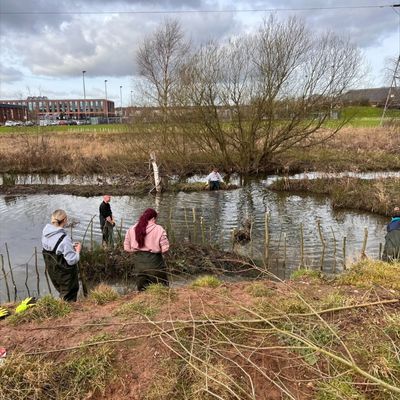 Biological Science students rewilding the River Trent. 