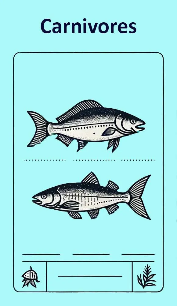 'In My Boat' playing cards