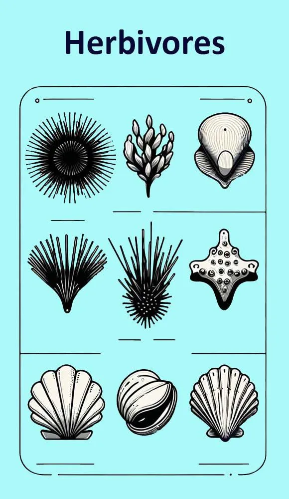 'In My Boat' playing cards