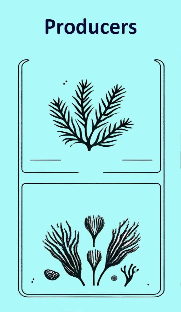 'In My Boat' playing cards