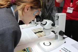 Student looks through a microscope during a hands-on science activity.