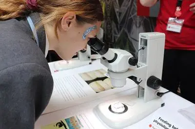Student looks through a microscope during a hands-on science activity.