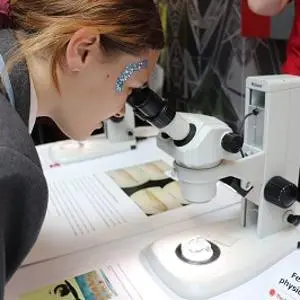 Student looks through a microscope during a hands-on science activity.