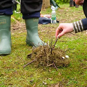 Someone's hands pictured building a hedgehog from grass and twigs