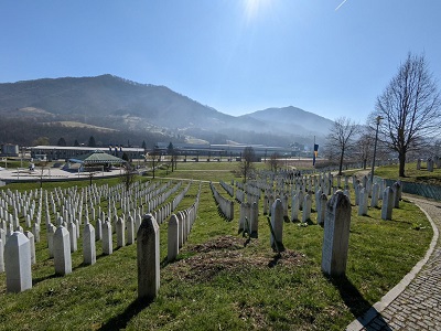 Gravestones with mountains in the background