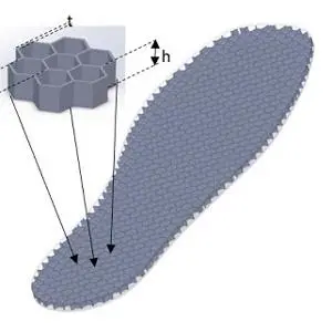 Insole showing hezagon tech