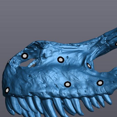 The raw data of a completed scan