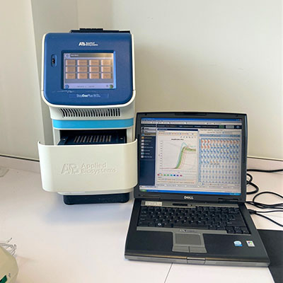 PCR