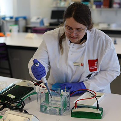 Western Blot