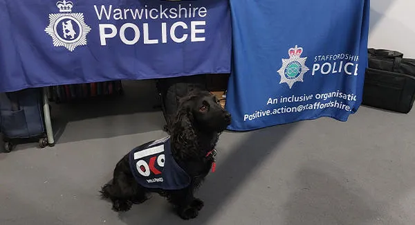 NSCL Festival - Police Dog