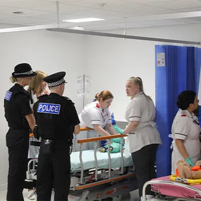 IoP simulation day