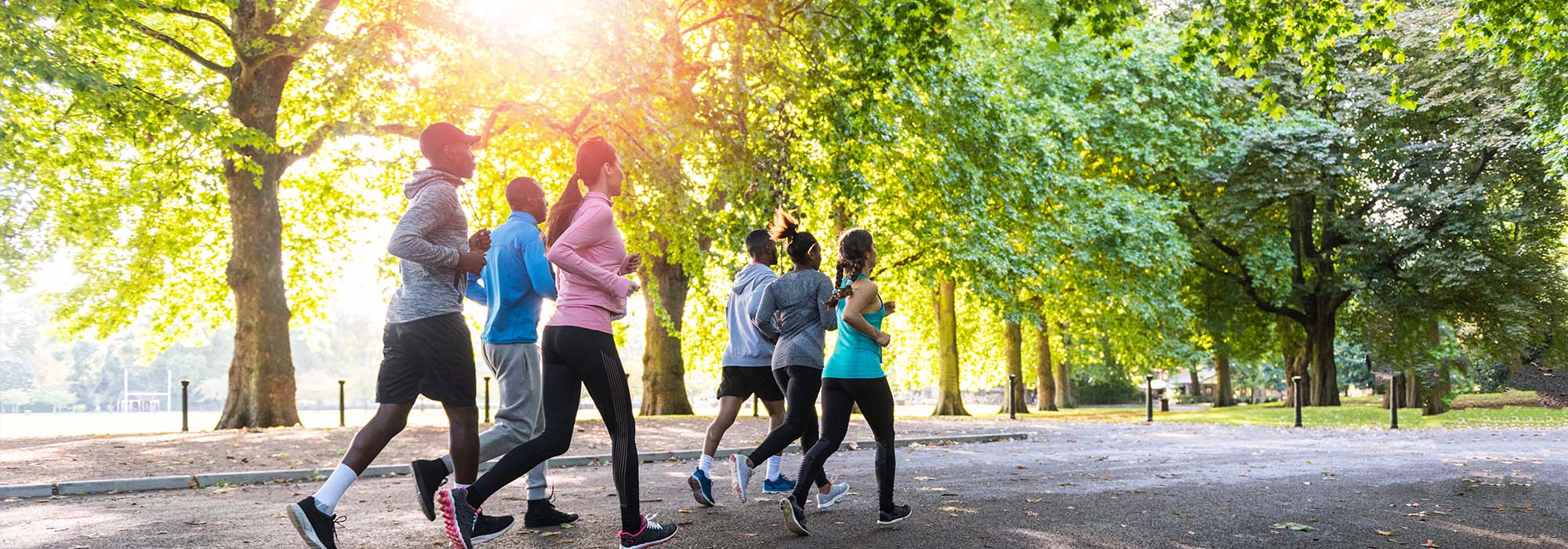 group of joggers in the park