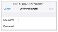 password-ios
