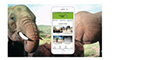 zsl-instant-wild-logo copy