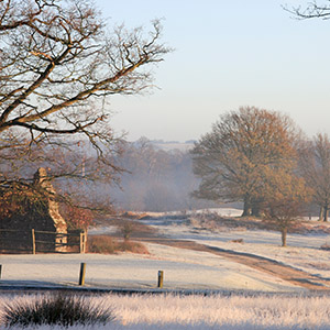 Snowy fields